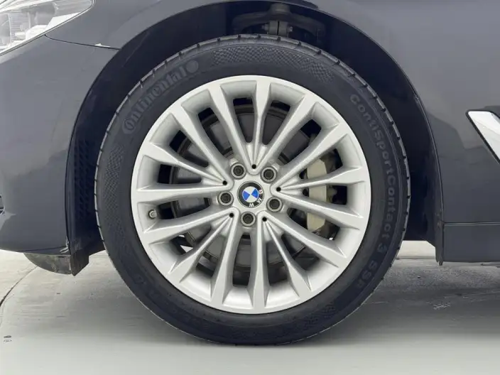 BMW 5 Series 2020 Model 530Li Leading Model Luxury Set – фото 9