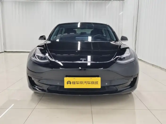 Model 3 2020 Model Standard Battery Life Rear Drive L Class Edition – фото 2