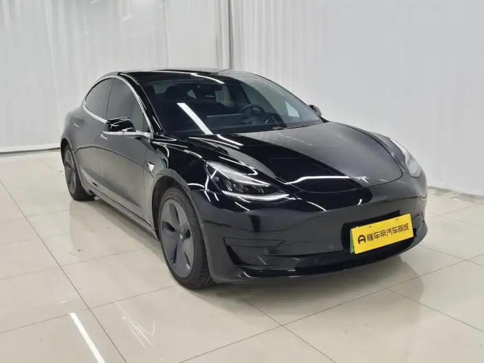 Model 3 2020 Model Standard Battery Life Rear Drive L Class Edition – фото 3