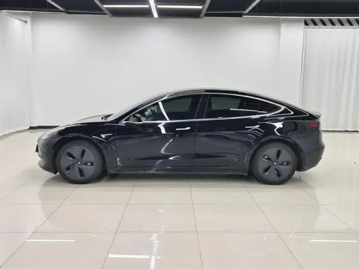 Model 3 2020 Model Standard Battery Life Rear Drive L Class Edition – фото 4