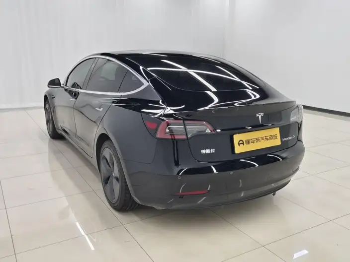 Model 3 2020 Model Standard Battery Life Rear Drive L Class Edition – фото 5