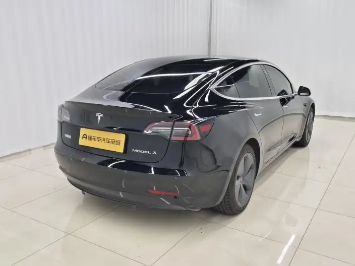 Model 3 2020 Model Standard Battery Life Rear Drive L Class Edition – фото 7