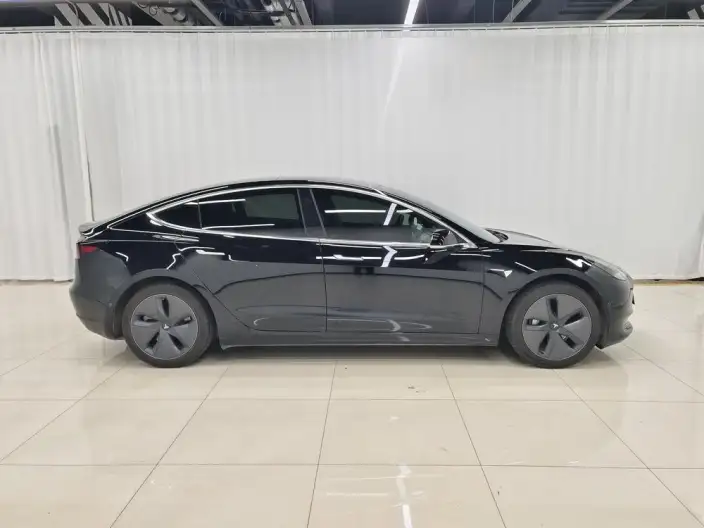 Model 3 2020 Model Standard Battery Life Rear Drive L Class Edition – фото 8