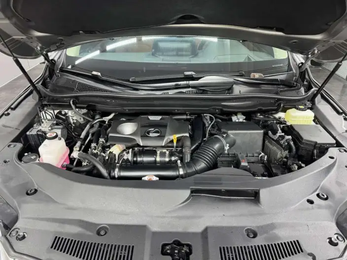 Lexus RX 2020 Model Facelift 300 4WD Elegant Edition – фото 8
