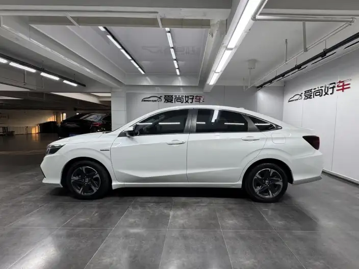 Xiangyu 2021 Model Rui*Hybrid 1.5L Net Fit Edition – фото 4