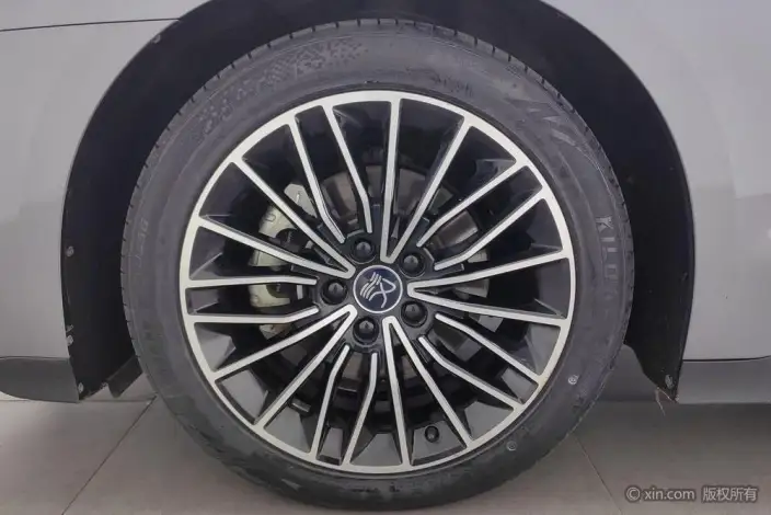 BYD Han DM 2022 Model DM-i 121KM Zunrong Model – фото 9