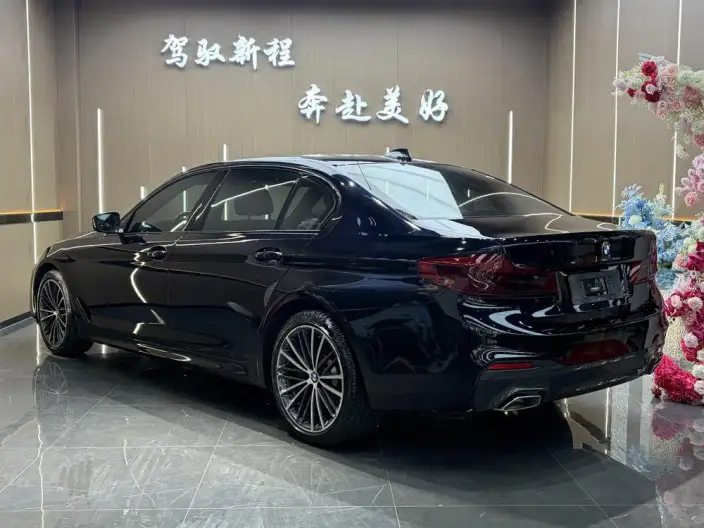 BMW 5 Series 2020 Model 530Li Exclusive Model M Sports Set – фото 4