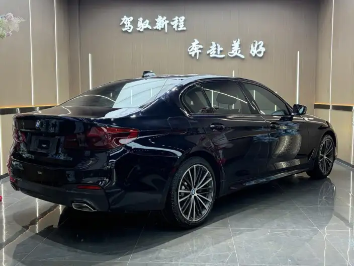 BMW 5 Series 2020 Model 530Li Exclusive Model M Sports Set – фото 6