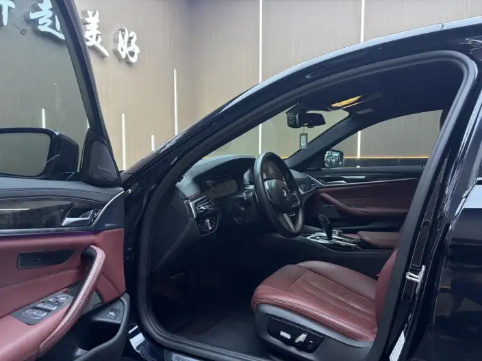 BMW 5 Series 2020 Model 530Li Exclusive Model M Sports Set – фото 8
