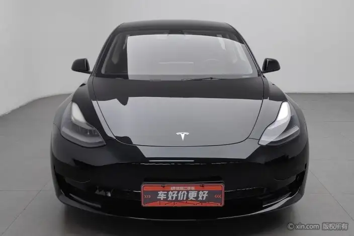 Model 3 2021 Model Standard Battery Life Rear Drive L Class Edition 3D1