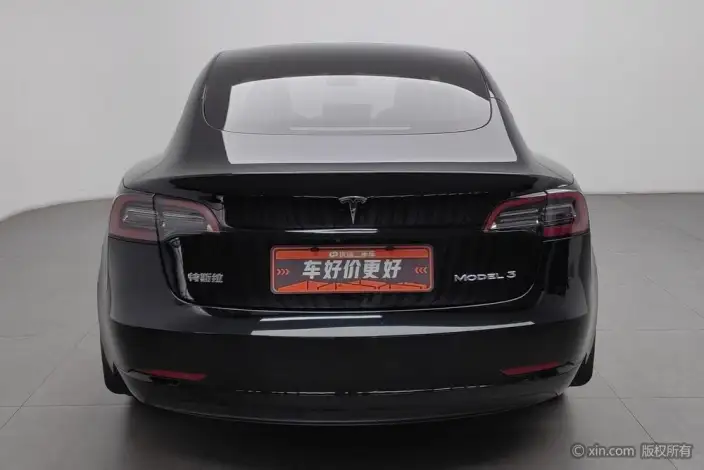 Model 3 2021 Model Standard Battery Life Rear Drive L Class Edition 3D1