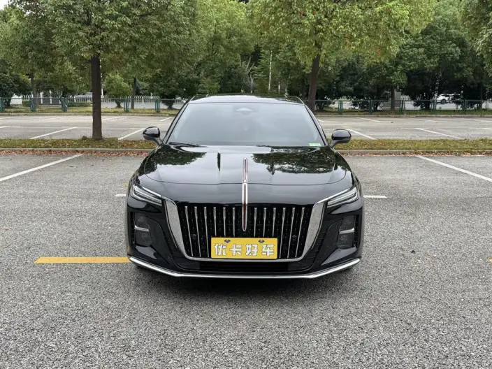 Hongqi H5 2025 Model 2.0T Automatic Flag Enjoy Edition – фото 2