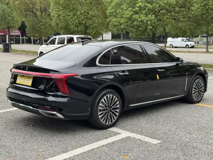 Hongqi H5 2025 Model 2.0T Automatic Flag Enjoy Edition – фото 6