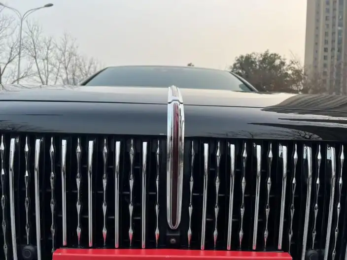 HONGQI H9 2022 Model 2.0T Smart Flag Enjoy Edition – фото 10