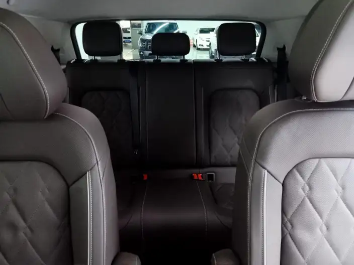 Viloran 2020 Model 380TSI Premium Edition – фото 8