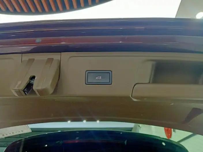 Viloran 2020 Model 380TSI Premium Edition – фото 9
