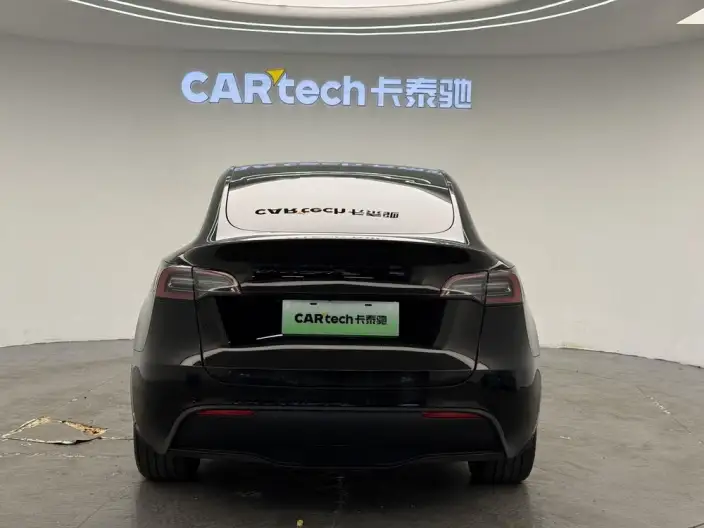 Model Y 2023 Model Long Battery Life Pro All-wheel drive version – фото 6