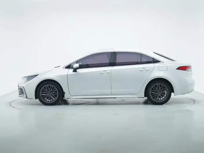 Lingshang 2023 Model 2.0L Deluxe Edition – фото 4