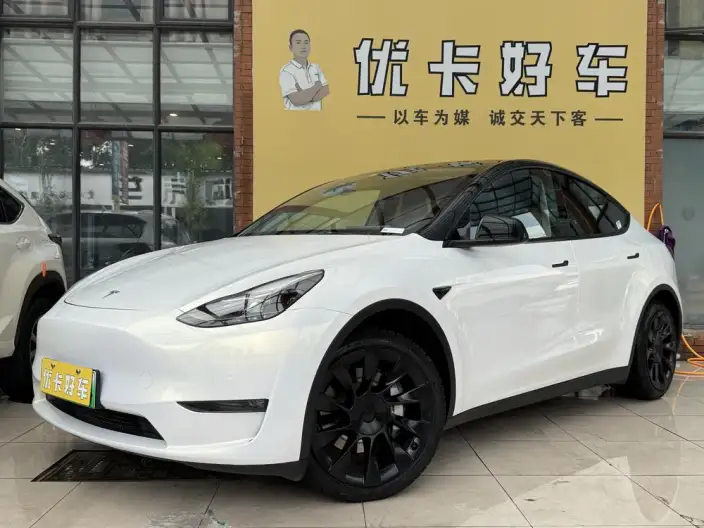 Model Y 2021 Model Standard Battery Life Rear-wheel drive version – фото 1