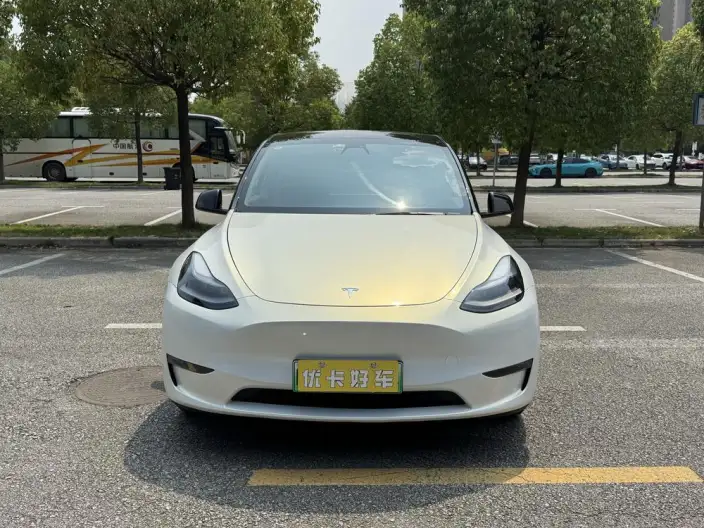 Model Y 2021 Model Standard Battery Life Rear-wheel drive version – фото 2