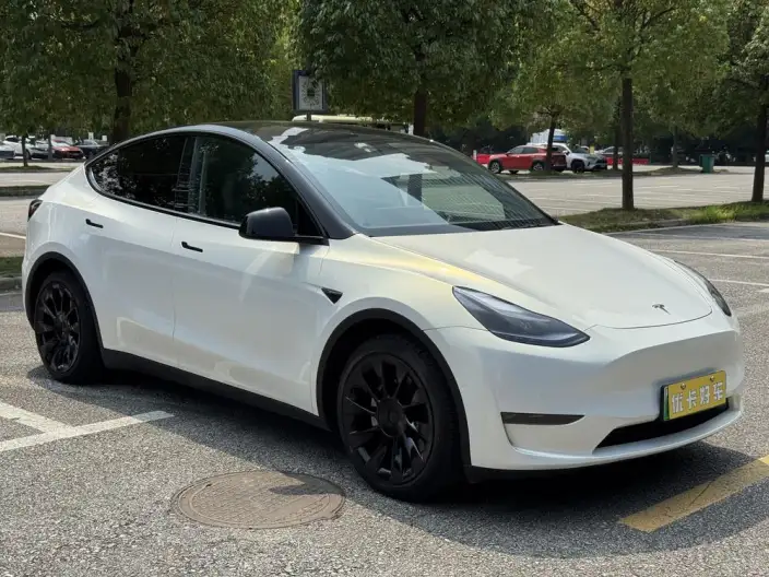 Model Y 2021 Model Standard Battery Life Rear-wheel drive version – фото 3