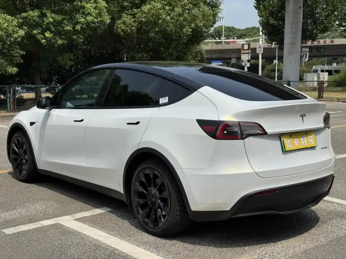 Model Y 2021 Model Standard Battery Life Rear-wheel drive version – фото 4