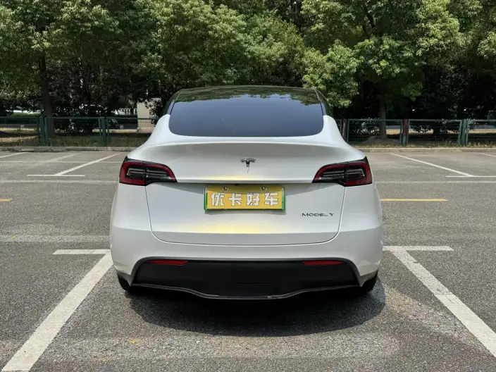 Model Y 2021 Model Standard Battery Life Rear-wheel drive version – фото 5
