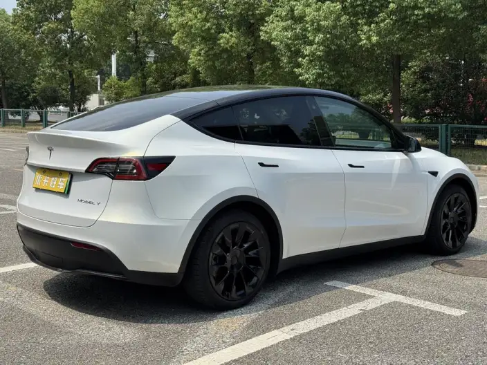 Model Y 2021 Model Standard Battery Life Rear-wheel drive version – фото 6