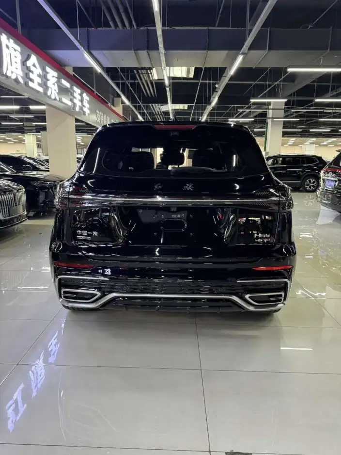 Hongqi HS5 2023 Model 2.0T 4WD Flag Xiang Pro Edition – фото 4