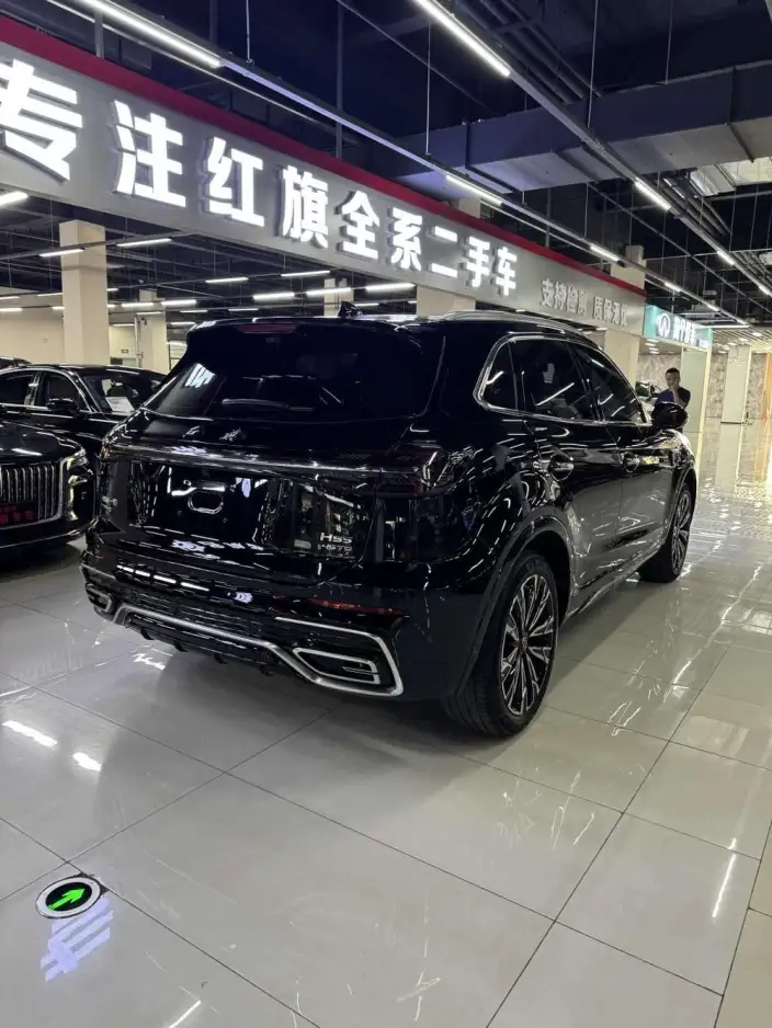 Hongqi HS5 2023 Model 2.0T 4WD Flag Xiang Pro Edition – фото 5