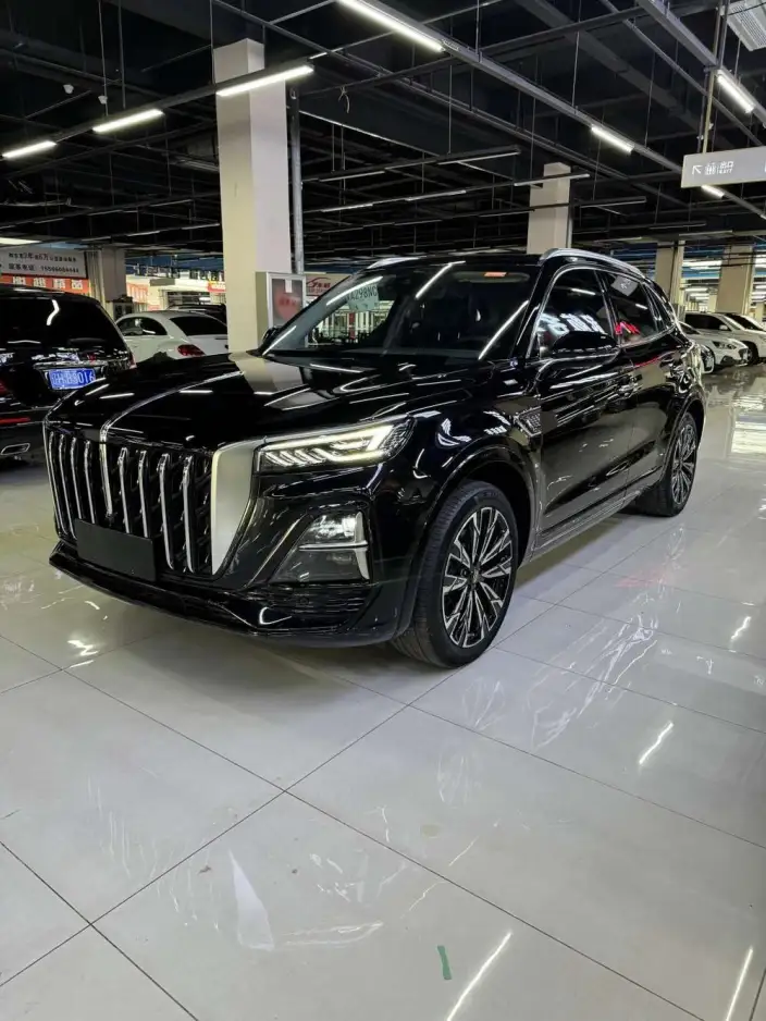 Hongqi HS5 2023 Model 2.0T 4WD Flag Xiang Pro Edition – фото 10
