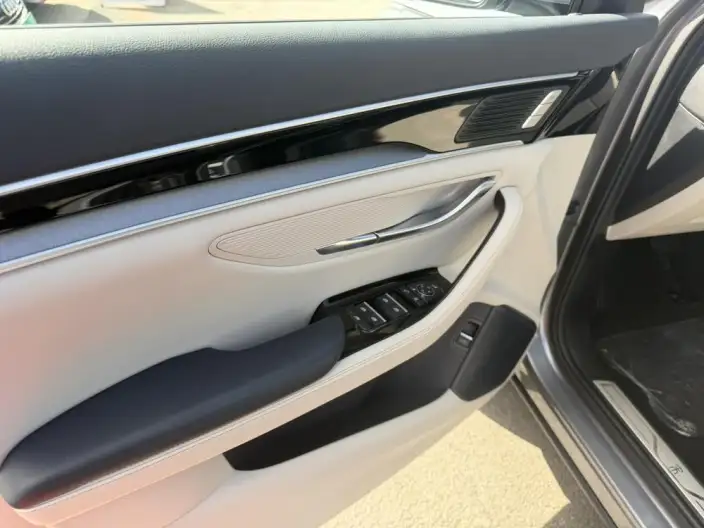 BYD Song PLUS EV 2021 Model Flagship Model – фото 10