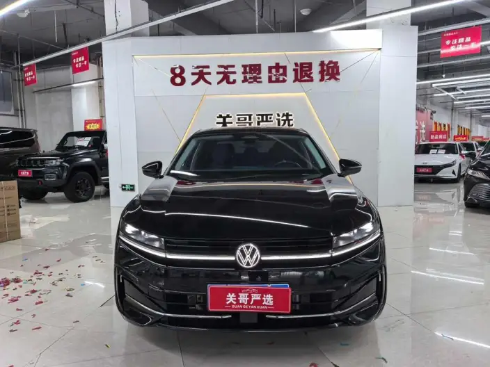 Volkswagen Magotan 2024 Model 300TSI Exclusive Edition – фото 2