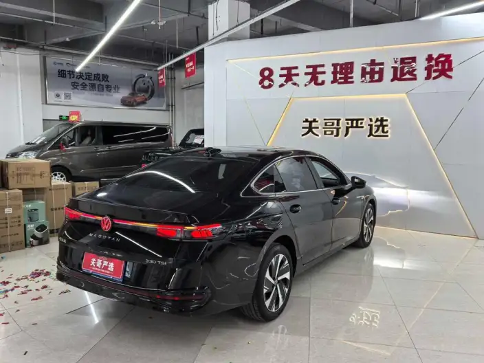 Volkswagen Magotan 2024 Model 300TSI Exclusive Edition – фото 6