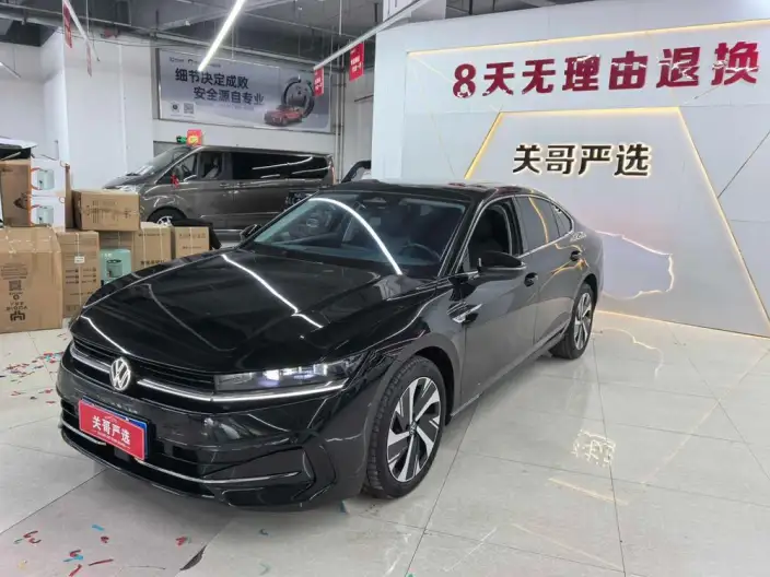 Volkswagen Magotan 2024 Model 300TSI Exclusive Edition – фото 10