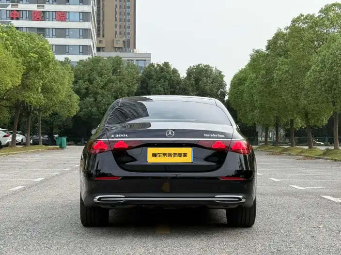 Mercedes-Benz E-Class 2025 Model Facelift E 300 L Luxury Model sedan – фото 6