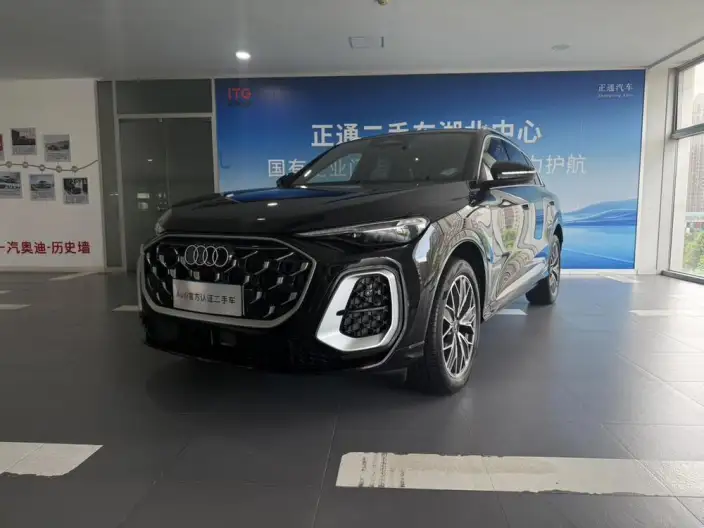 Audi Q5L 2026 Model 2.0T 10M Users Edition Edition – фото 1