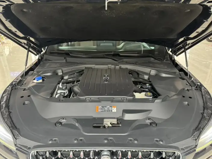 Aviator 2021 Model 3.0T V6 4WD Zunya Edition – фото 7