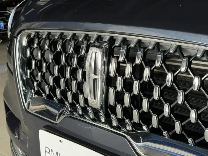 Aviator 2021 Model 3.0T V6 4WD Zunya Edition – фото 10