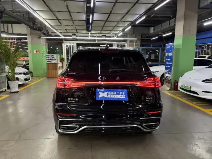Hongqi HS5 2023 Model 2.0T Flag Xiang Pro Edition – фото 5