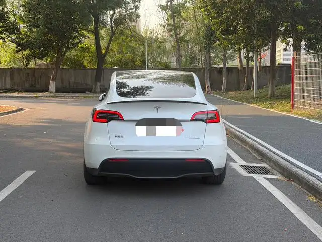 Model Y 2021 Model Performance High performance All-wheel drive version