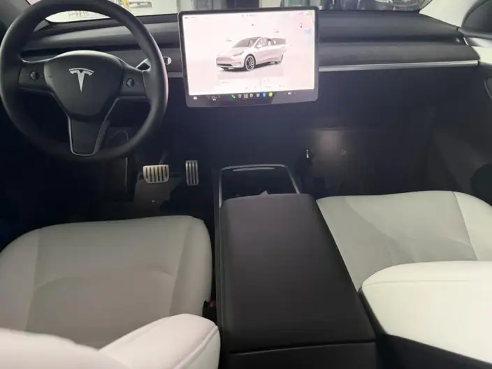 Model Y 2021 Model Performance High performance All-wheel drive version – фото 7