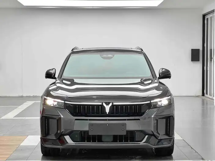 VOYAH FREE 2025 Model 318 4WD Tiggo Edition – фото 2