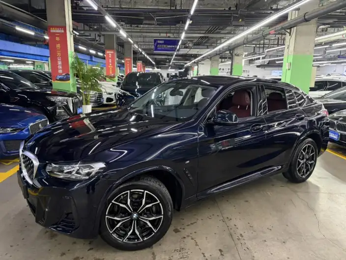 BMW X4 2022 Model xDrive 25i M Sports Set – фото 1