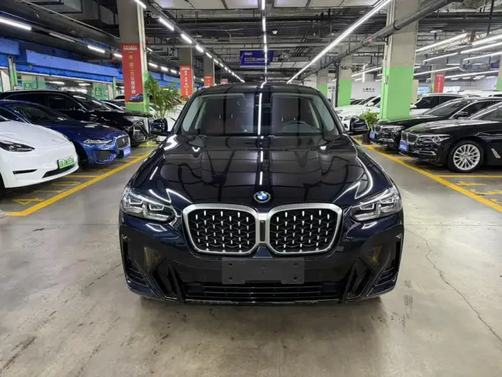 BMW X4 2022 Model xDrive 25i M Sports Set – фото 2