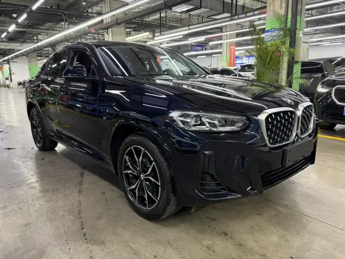 BMW X4 2022 Model xDrive 25i M Sports Set – фото 3