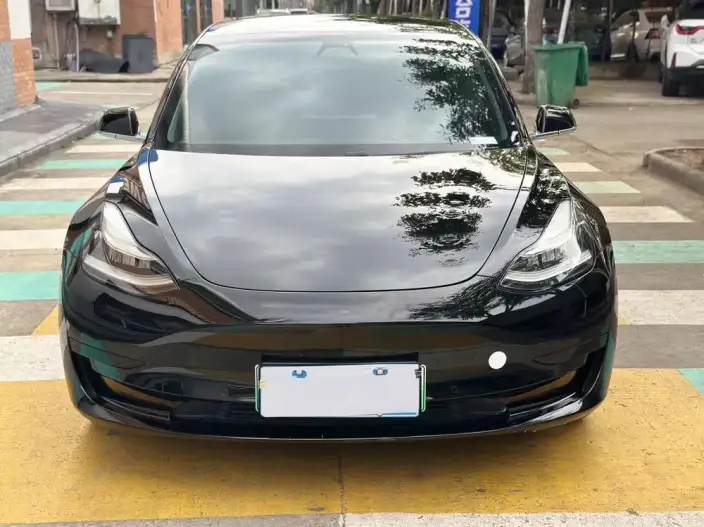 Model 3 2020 Model Standard Battery Life Rear Drive L Class Edition – фото 2