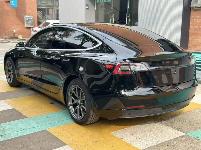 Model 3 2020 Model Standard Battery Life Rear Drive L Class Edition – фото 4