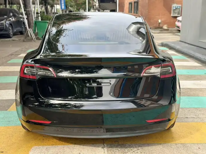 Model 3 2020 Model Standard Battery Life Rear Drive L Class Edition – фото 5