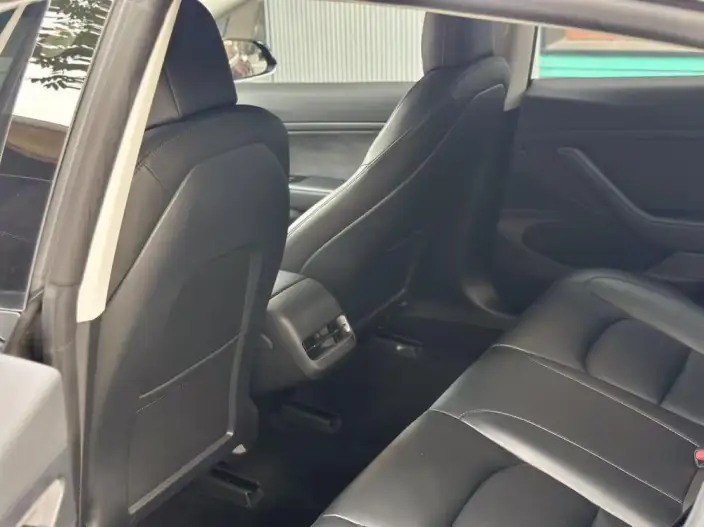 Model 3 2020 Model Standard Battery Life Rear Drive L Class Edition – фото 9
